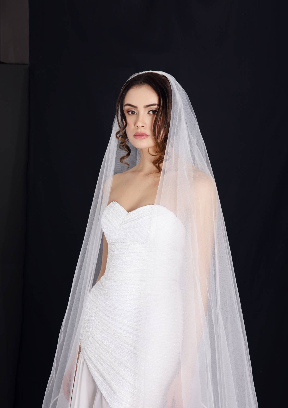 Bride Dress Model Sofia - Draped sequin bustier gown with chiffon skirt - Verdin New York